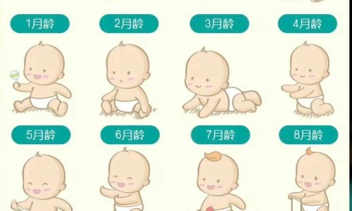 头孢唑肟是限制使用药么-头孢唑肟是常用药吗网 :分享头孢唑肟有口服药吗-头孢唑肟是消炎药吗知识